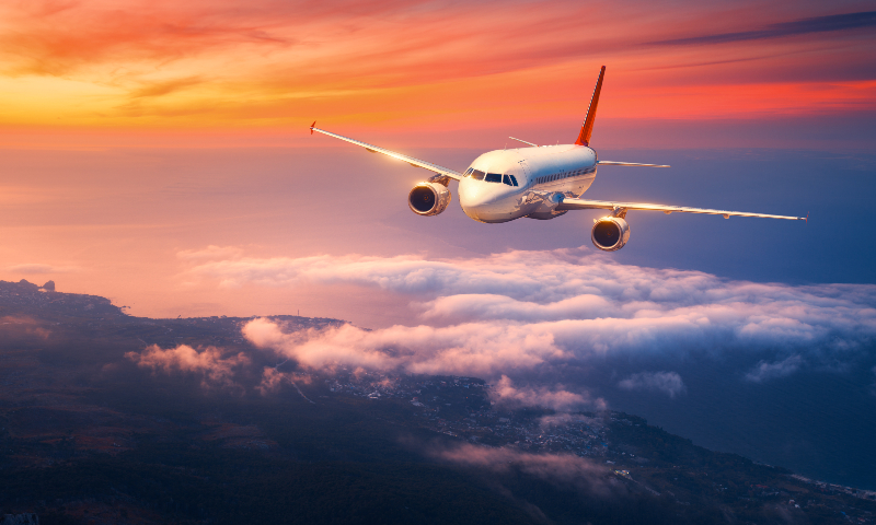 Fly i luften.