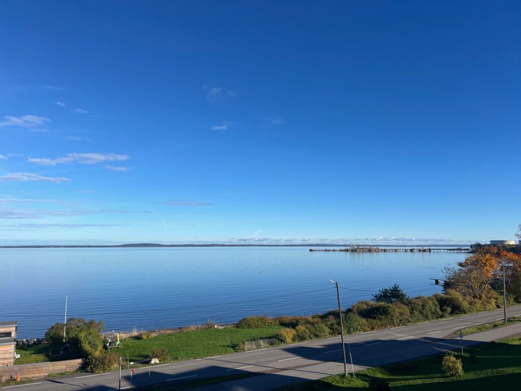 Fin høstdag med utsikt ut mot fjorden.