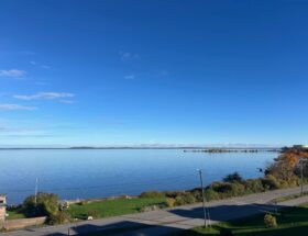 Strand, vei og Oslofjorden.