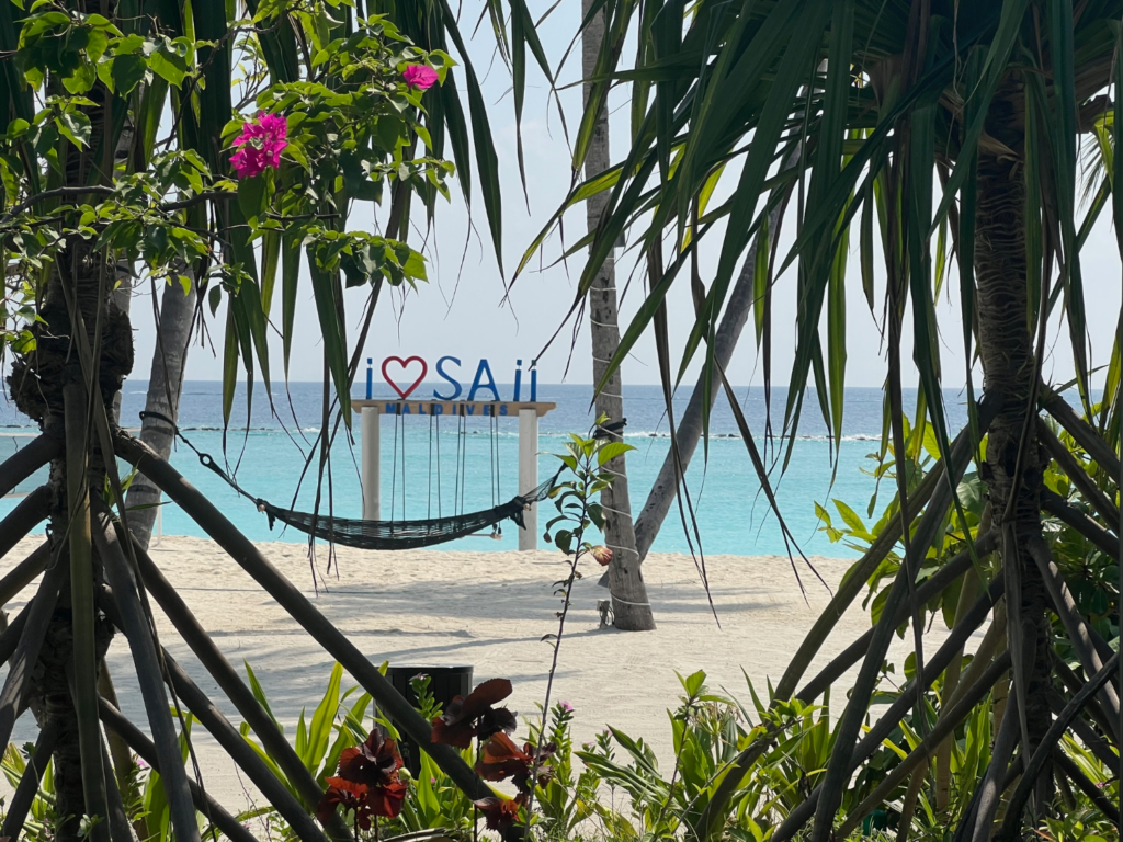 Utsikt til stranda mellom trær.