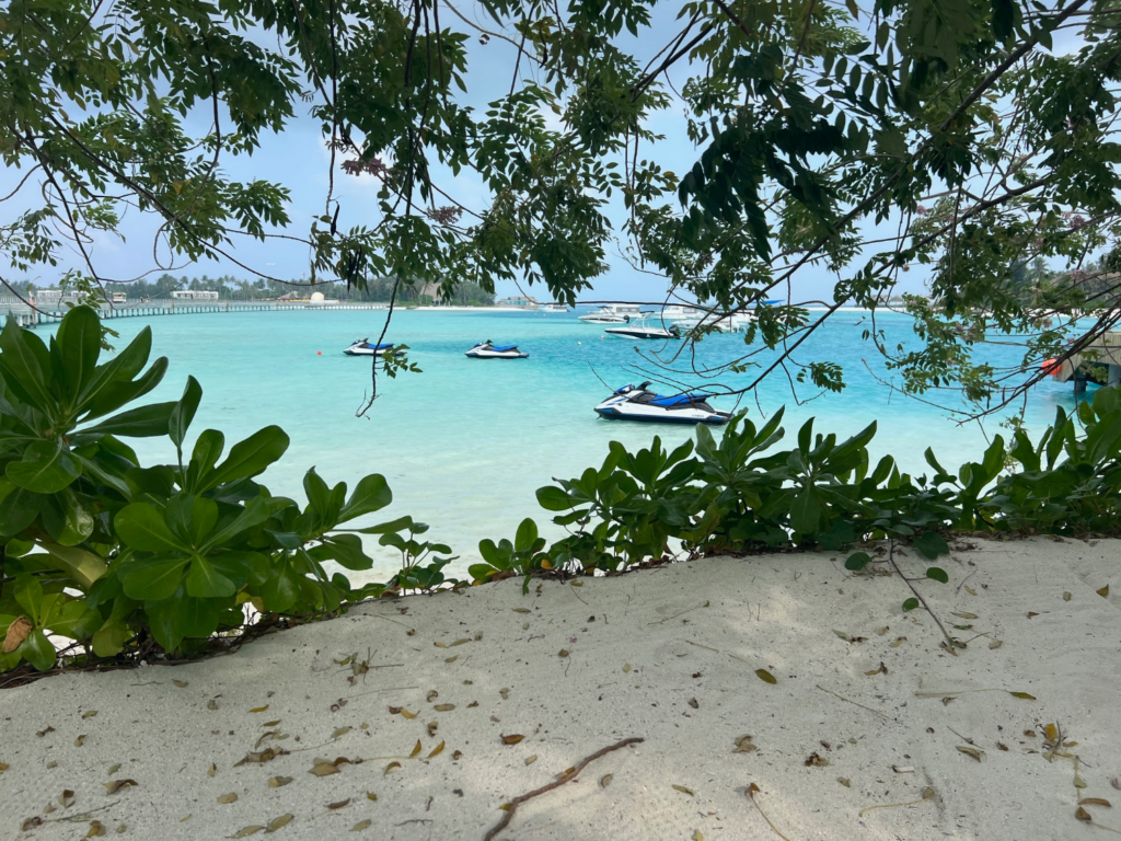 Utsikt til vannscootere.